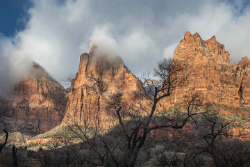 Zion Canyon Winter