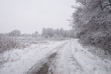 Obraz premium Winter snowy road on a gloomy day. nobody.