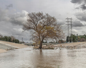 January 15, 2023, Los Angeles, CA, USA: The Glendale Narrows section of the LA River just before a...