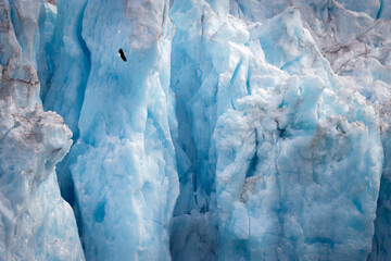 Scale of Alaskan Glaciers