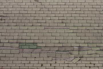 Weathered shingles on the roof of an old barn. © Kenton Waltz 