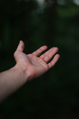 View on hand on green background