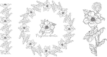 Black and white. White magnolia. Vector illustration. Botanical illustration. Flower Wreath