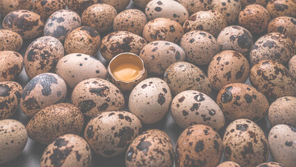 Obraz premium Group of quail eggs as a background. Raw eggs.