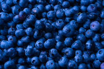 Fresh blueberry background. Texture blueberry berries close up.