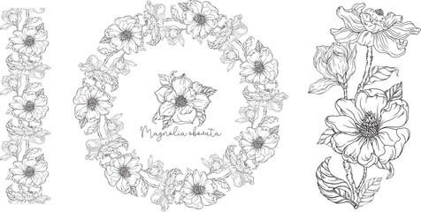 Black and white. White magnolia. Vector illustration. Botanical illustration. Flower Wreath