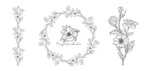 Black and white. White magnolia. Vector illustration. Botanical illustration. Flower Wreath