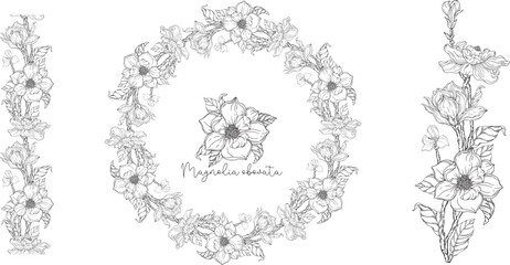 Fototapeta na wymiar Black and white. White magnolia. Vector illustration. Botanical illustration. Flower Wreath