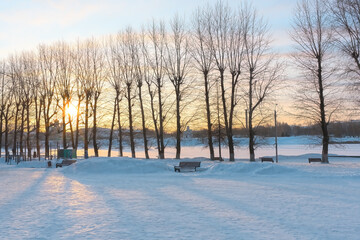 Athanasius Nikitin Embankment in Tver on a frosty morning. The rays of the morning sun seep through...