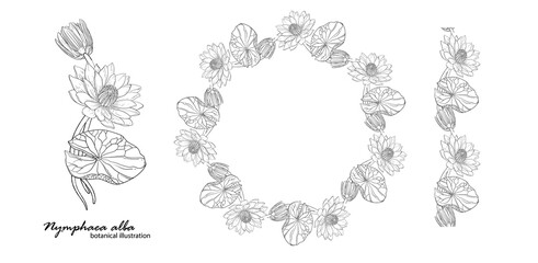 Floral vector wreath with lily flowers. Floral