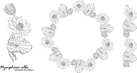 Floral vector wreath with lily flowers. Floral