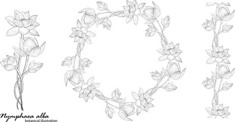 Floral vector wreath with lily flowers. Floral