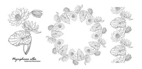 Floral vector wreath with lily flowers. Floral