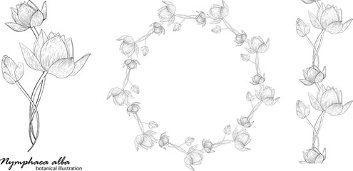 Floral vector wreath with lily flowers. Floral