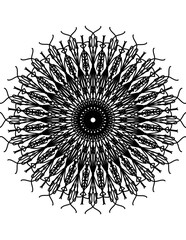 Mandala Coloring Page For Adult
Mandala Coloring Pages