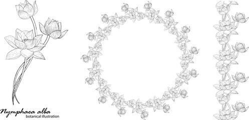 Floral vector wreath with lily flowers. Floral