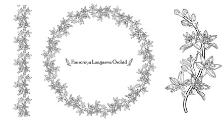 Graphic vector floral wreath with archidia flowers. Black and white drawing