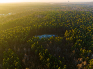 Aerial view of the forest. The concept of spending time in the forest, oxygen production by a large amount of forest, rest and tree landscape.