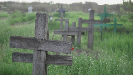 Wooden crosses in graveyard, green grass, steady nature, life and death