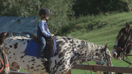 Little boy ready to ride the horse for the first time