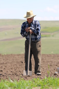 Old farmer rests leaning on spade at agriculture field