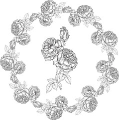 Hand-drawn floral set, Rose Collection, Flower Wreath.
