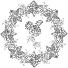 Hand-drawn floral set, Rose Collection, Flower Wreath.