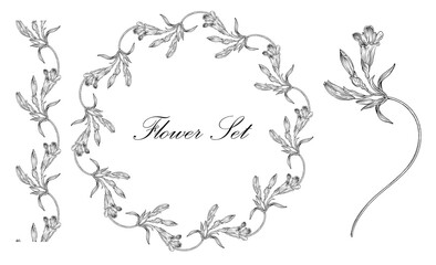 Floral set with black and white delicate flowers. Romantic set