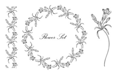 Floral set with black and white delicate flowers. Romantic set