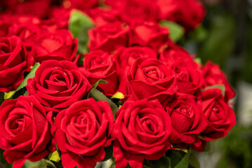 many red rose , valentine's day concept , a bouquet of beautiful red roses