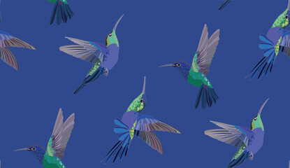 Hummingbird bird vector pattern in vintage style