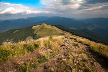 The late summer landscape of Połonina Caryńska in Carpathian Mountains in natural colors, Bieszczady, Poland