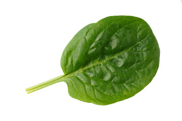 Spinach leaves isolated on white background, healthy food