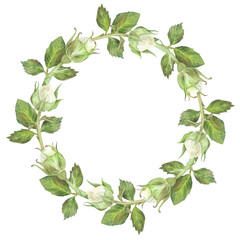 Round wreath of white roses buds with leaves. Place for inscription or text. Watercolor illustration. Isolated on a white background. For design of dishes, greeting card, wedding invitation