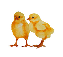 Cute watercolor cartoon Easter chicken set isolated on white background. Funny yellow chicks illustration.