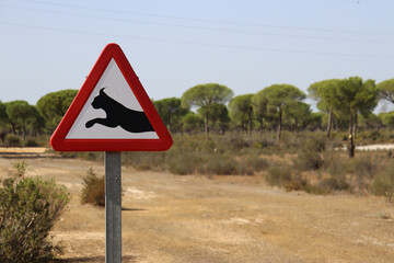 Traffic sign that warns of the passage of lynx in Spain © jimenezar
