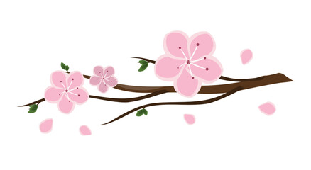 Sakura branch, drawn horizontally, with petals falling out. Vector illustration, isolated on white background