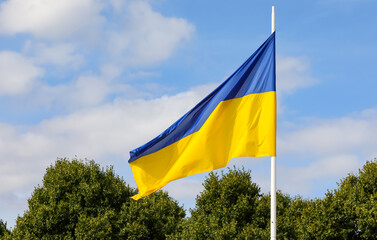 blue and yellow colors of Ukraine flag
