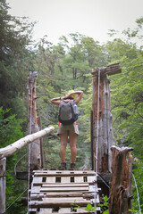 young woman prepares to cross a bridge in the forest
