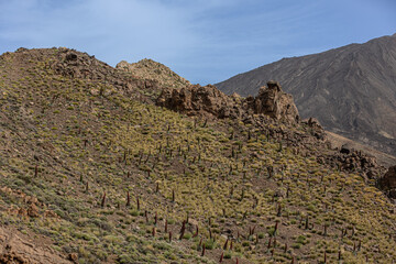 Nationalpark El Teide
