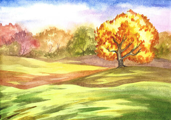 Naklejka na ściany i meble Watercolor drawing of autumn trees. Artistic illustration. Autumn landscape with meadow pasture and trees.