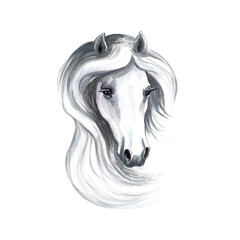 Portrait of a white horse. Watercolor illustration. For prints, stickers and labels. For postcards, business cards