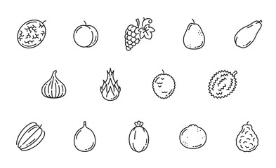 Raw fruit line icons. Melon, apricot or peach, grapes, guava or pear, papaya, fig and pitaya dragon fruit, lychee, durian and bergamot orange, grapefruit, feijoa and carambola outline vecor pictogram