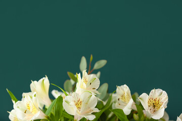 Delicate alstroemeria flowers on color background, closeup © Pixel-Shot