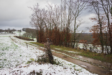 Winter scene in the Creuse countryside.