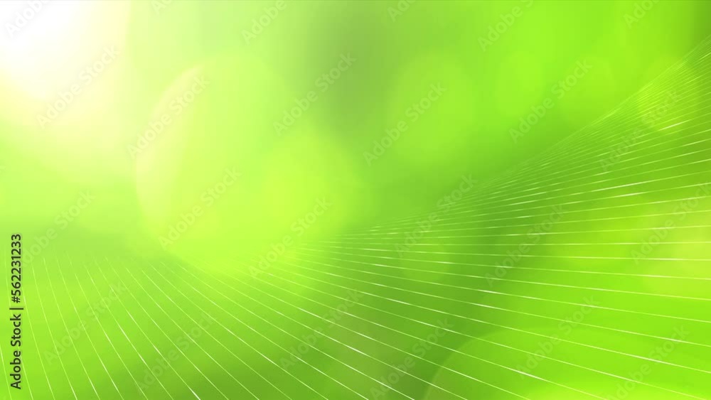 Poster artistic green sunny nature bokeh looped animation with digital lines motion network copy space back