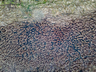 Public park called Lewityn in Pabianice City - view from drone