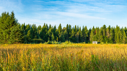 A small shed on the edge of a meadow, Quebec, Canada