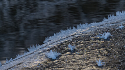 Frozen and icy part of the river in winter makes a layer of ice near the shore, snowflakes are like fluffy needles, reflection of the winter forest in the water of the river