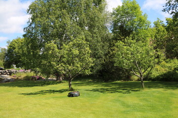 Reduced workload with the Robotic lawnmower in the garden